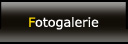 Fotogalerie