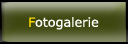 Fotogalerie