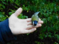 10032