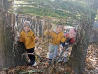 20108