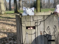 22443