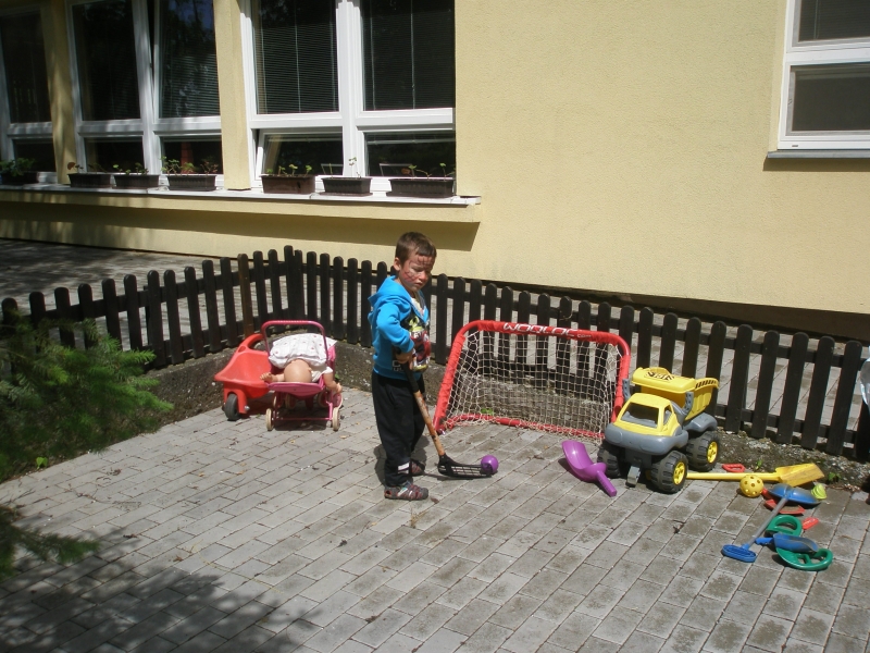 obrázek